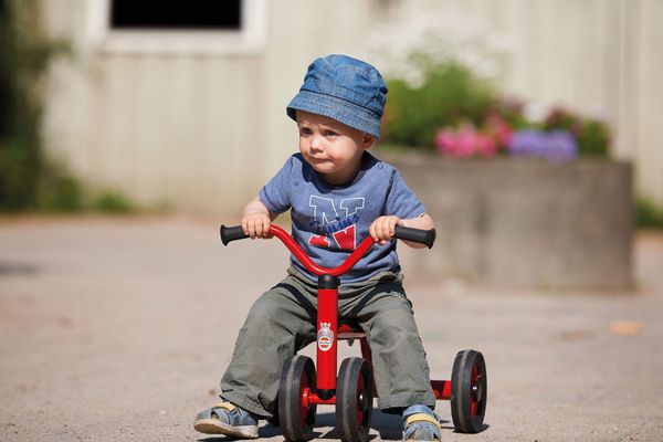 Kinderfahrzeug, Laufrad, Trike, Rotes Gestell, Hose grau