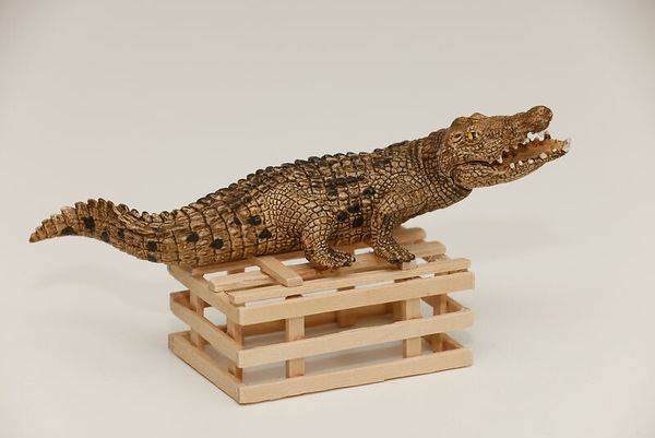 Schleich® Safari-Set, 12-teilig Schleich® Safari-Set, 12-teilig