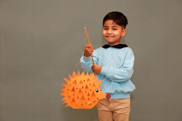 FOLIA Laternen-Rohlinge aus Kraftkarton, 5 Stück, braun FOLIA Laternen-Rohlinge aus Kraftkarton, 5 Stück, braun