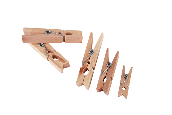 FOLIA Holzklammern, 2,5-5 cm, Großpackung, 480 Stück, Farbe wählbar