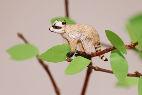 Schleich® Waldtiere-Set, 8-teilig Schleich® Waldtiere-Set, 8-teilig