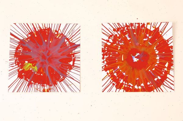 Farbschleuder Kunststoff, 36 cm Farbschleuder Kunststoff, 36 cm