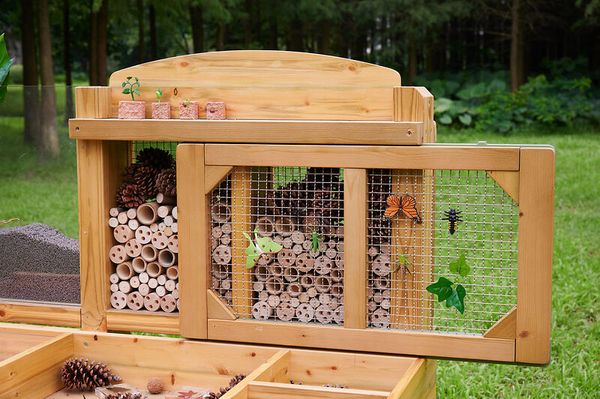 Insekten- und Pflanzenbeobachtungsstand