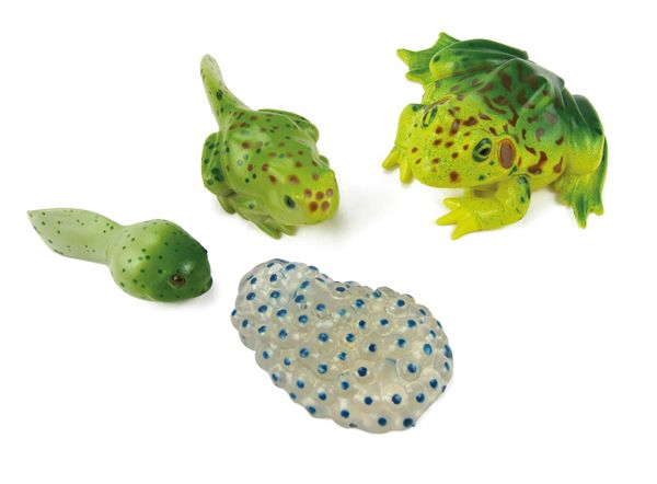 Frosch-Figur, Kunststoffspielzeug, Grüner Frosch, Unebene Textur, Kleines Tier