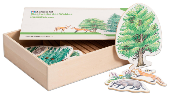 BETZOLD Lernspiel "Stockwerke des Waldes", 25-teilig BETZOLD Lernspiel "Stockwerke des Waldes", 25-teilig