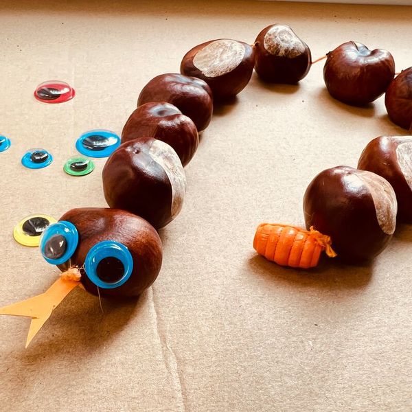 Kastanien, Holz, Kette, Perlen, Plastikringe