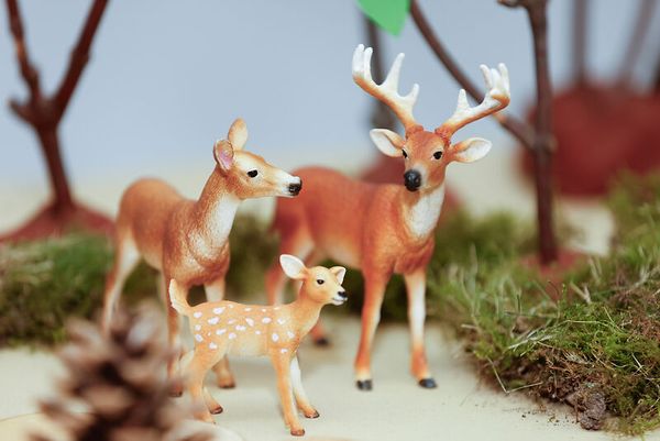 Schleich® Waldtiere-Set, 8-teilig Schleich® Waldtiere-Set, 8-teilig