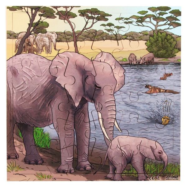 Elefant, Herde, Baby-Elefant, Sumpflandschaft, Pflanzen