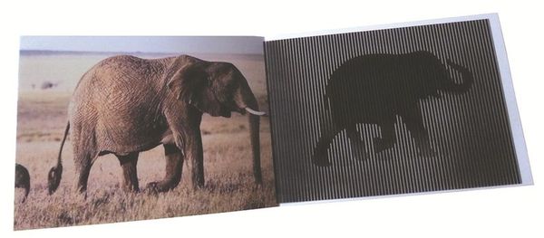 Elefant, Tierbild, Schwarzweiß, Afrika, Wildtier