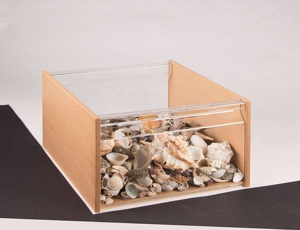 Muscheln, Schale, Holzrahmen, Kunststoffbehälter, Dekor