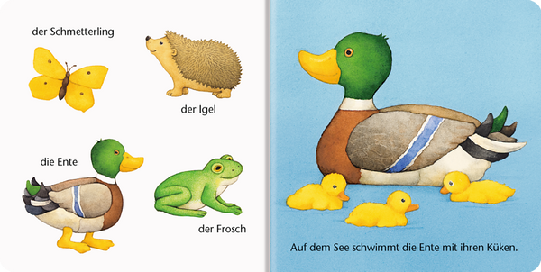 RAVENSBURGER MINISTEPS: Meine ersten Wörter, 12-36 Monate, 6 kleine Bücher