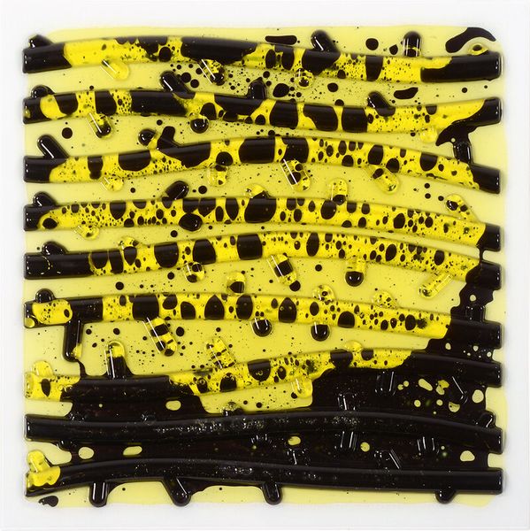 Sensorik Platten Liquid, 6 Stück