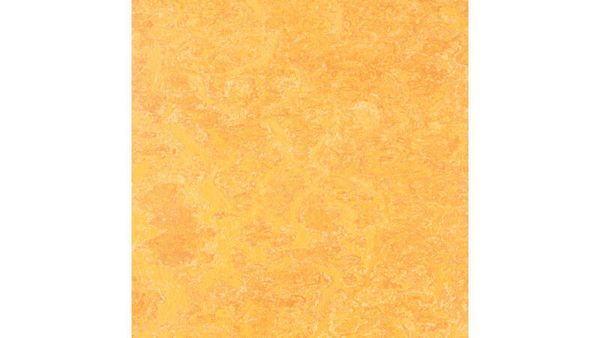 BETZOLD EduCasa Podest-Rechteck für Liegepolster, 150x75cm