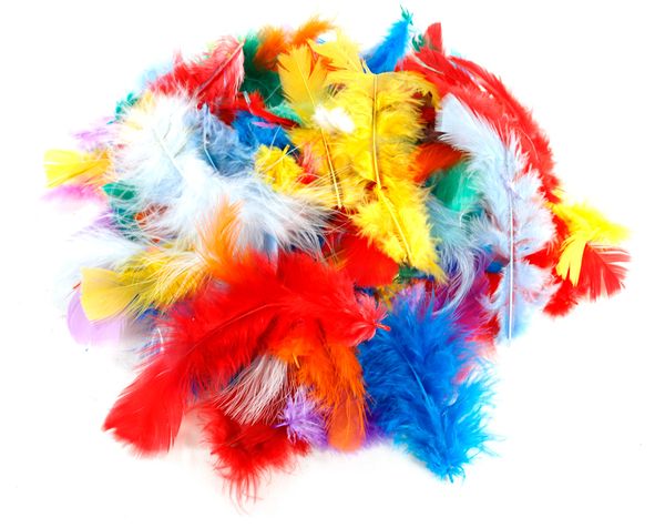 Bunte Federn, Großpackung, ca. 800 Stück (ca. 100g) Bunte Federn, Großpackung, ca. 800 Stück (ca. 100g)