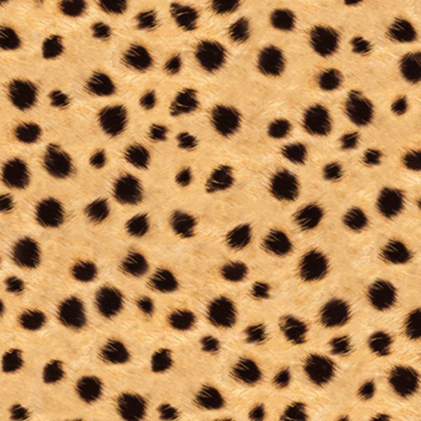 FOLIA Tierfell-Karton, 50x70 cm, 300 g/m², 10 Bogen