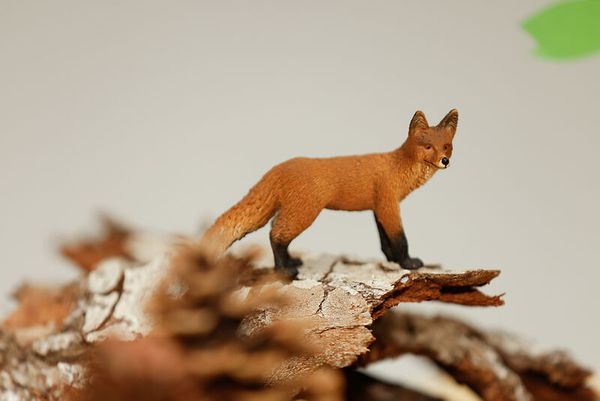 Schleich® Waldtiere-Set, 8-teilig Schleich® Waldtiere-Set, 8-teilig