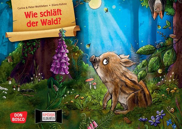 Kamishibai Bildkartenset - Wie schläft der Wald?