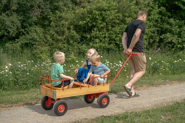 ROSE Bollerwagen, Größe und Bereifung wählbar