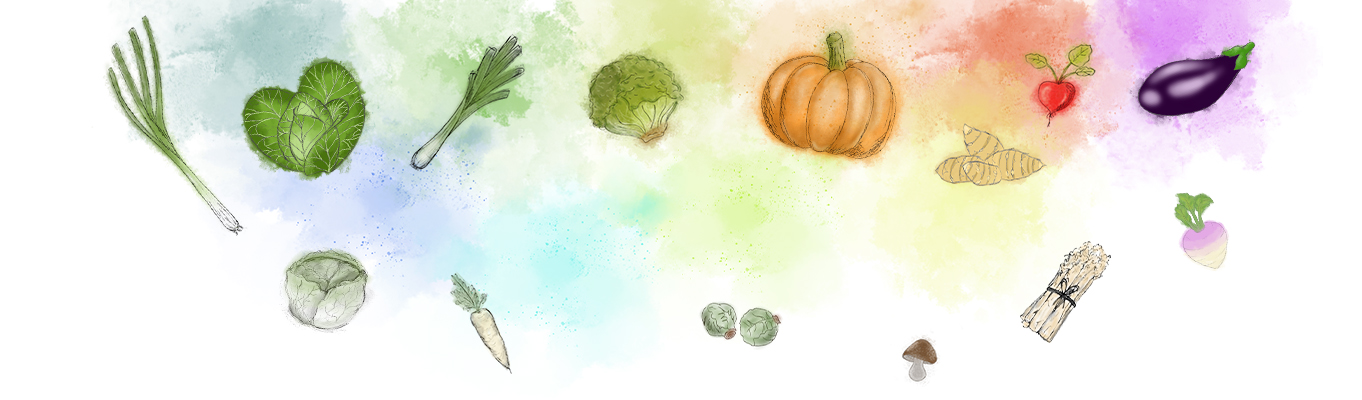 Banner des Rezeptheftes