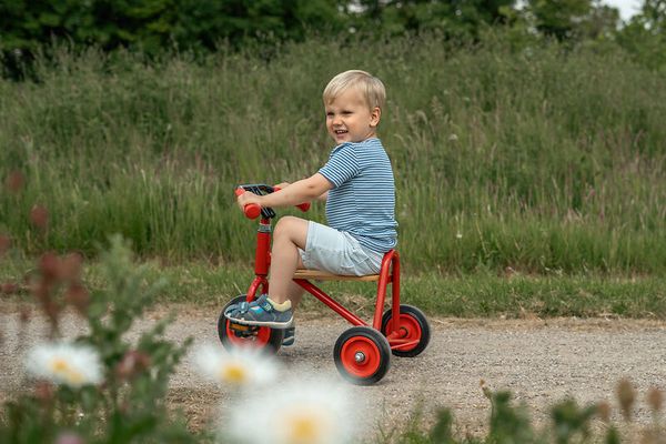 ROSE KiGa Dreirad, mit Vollreifen, Größe wählbar