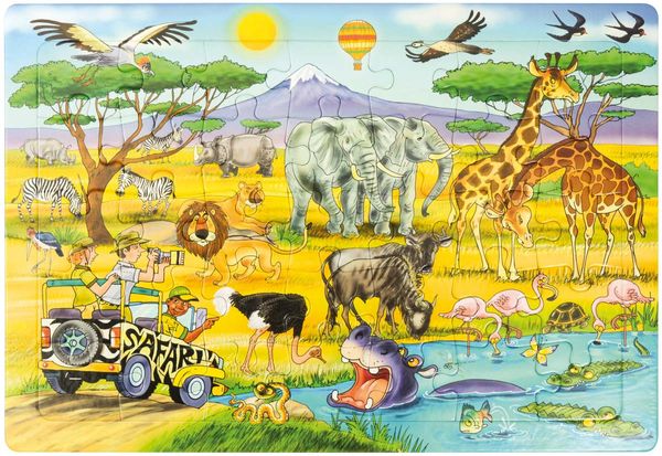 Safari, Wildlife, Wildlife jeep, Tierwelt, Abenteuer