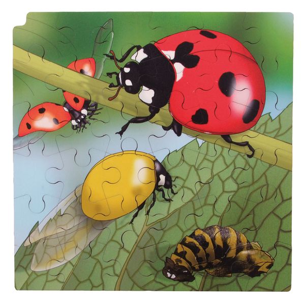 Circle of life Puzzle, Marienkäfer, Holz, 86 Teile, ab 3 Jahre Circle of life Puzzle, Marienkäfer, Holz, 86 Teile, ab 3 Jahre