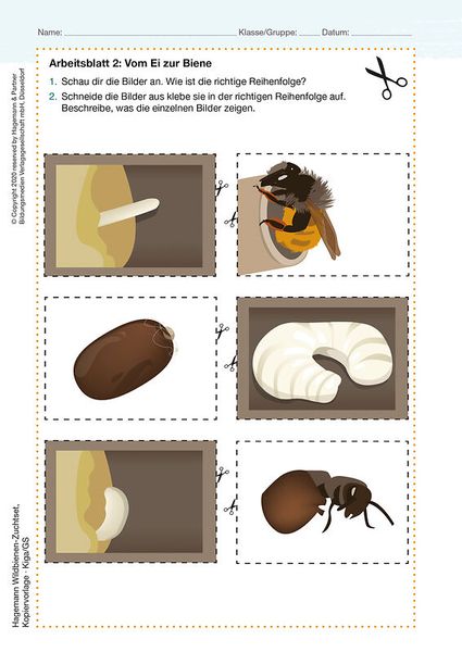 Zuchtset Wildbienen, 5-tlg.