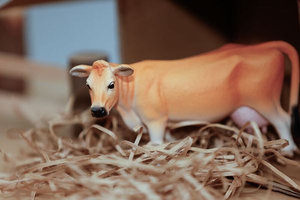 Schleich® Bauernhoftiere-Set, 9-teilig Schleich® Bauernhoftiere-Set, 9-teilig