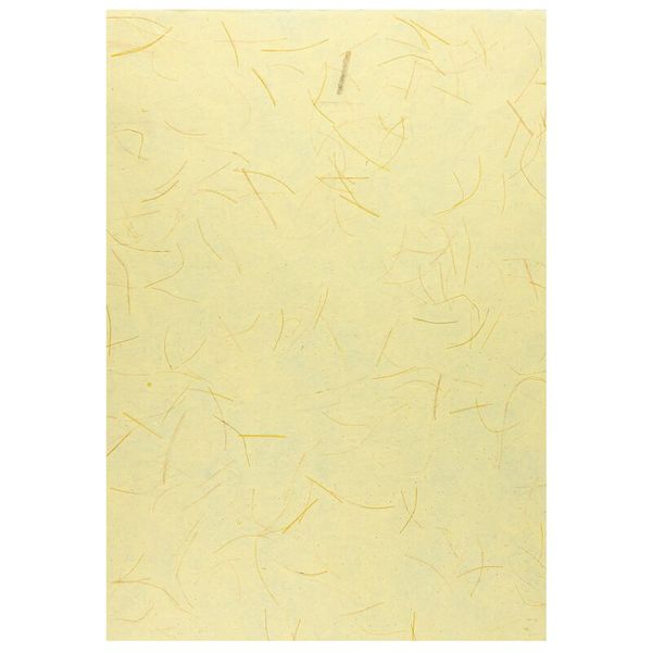Naturpapier, 10 Motive, handgeschöpft, 33 x 23 cm