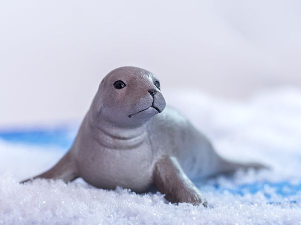Seehund, Seal, Spielzeug, Figur, Weiß-Grau