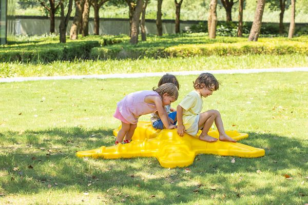 Balancierelement See-Stern Balancierelement See-Stern