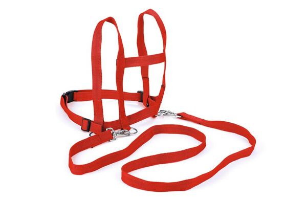 Hundegeschirr, Brustgurt, Rotes Hundegeschirr, Leine, Hundezubehör