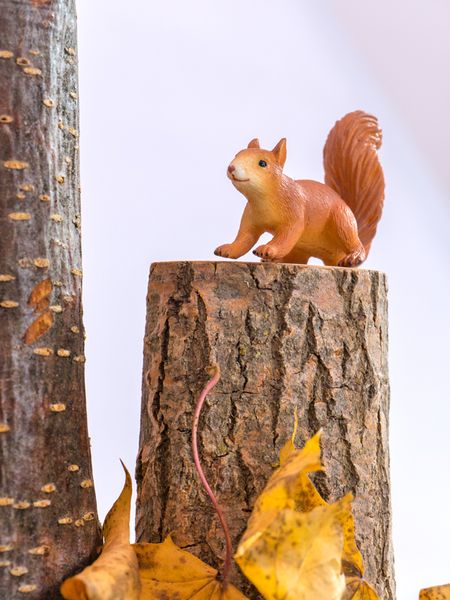 Säuling?, Eichhörnchen-Figur, Holzstumpf, Baumstamm, Herbstlaub