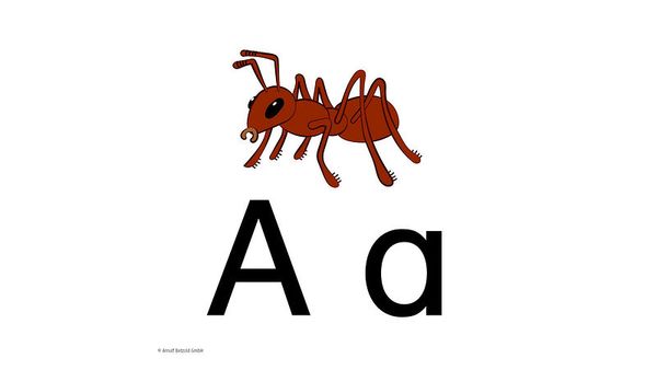 ant, ant illustration, alphabet, letter A, orange red ant
