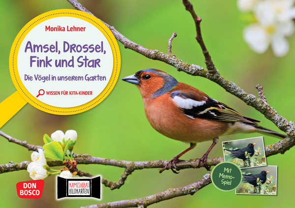 Amsel, Drossel, Fink und Star. Die Vögel in unserem Garten. Kamishibai Bildkarten und Memo-Spiel Amsel, Drossel, Fink und Star. Die Vögel in unserem Garten. Kamishibai Bildkarten und Memo-Spiel
