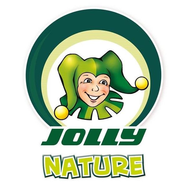 JOLLY Supersticks Sechskant-Buntstifte, bruchsicher, 12 Stück, Farbe wählbar (SONDERANGEBOT)