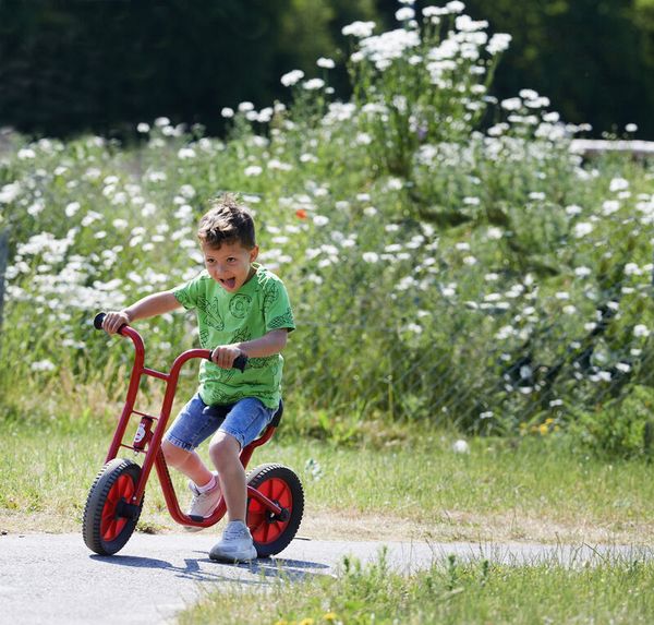 WINTHER VIKING BikeRunner large mit niedrigem Einstieg, 4-7 Jahre