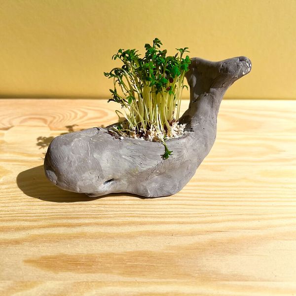 JOVI Lufttrockende Modelliermasse, weiß, 1 kg 