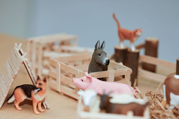 Schleich® Bauernhoftiere-Set, 9-teilig Schleich® Bauernhoftiere-Set, 9-teilig