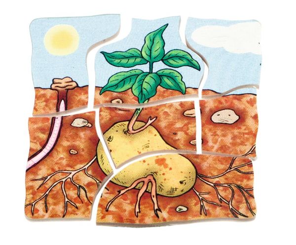 Lagen-Puzzle Kartoffel, 30 Teile, Holz, ab 4 Jahre Lagen-Puzzle Kartoffel, 30 Teile, Holz, ab 4 Jahre