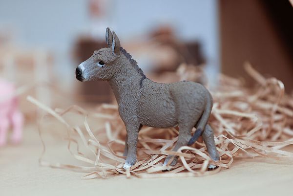 Schleich® Bauernhoftiere-Set, 9-teilig Schleich® Bauernhoftiere-Set, 9-teilig