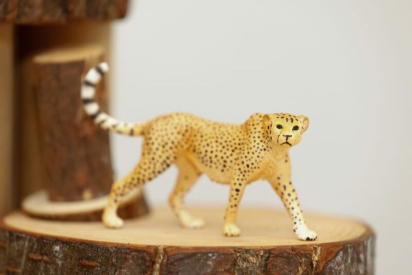 Schleich® Safari-Set, 12-teilig Schleich® Safari-Set, 12-teilig