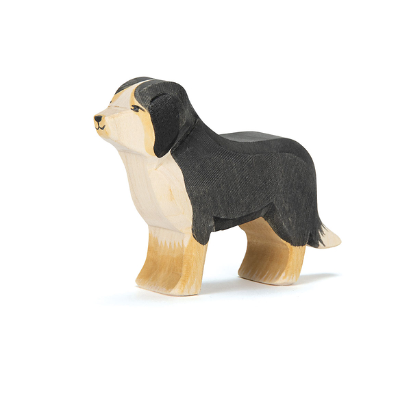 OSTHEIMER Berner Sennenhund
