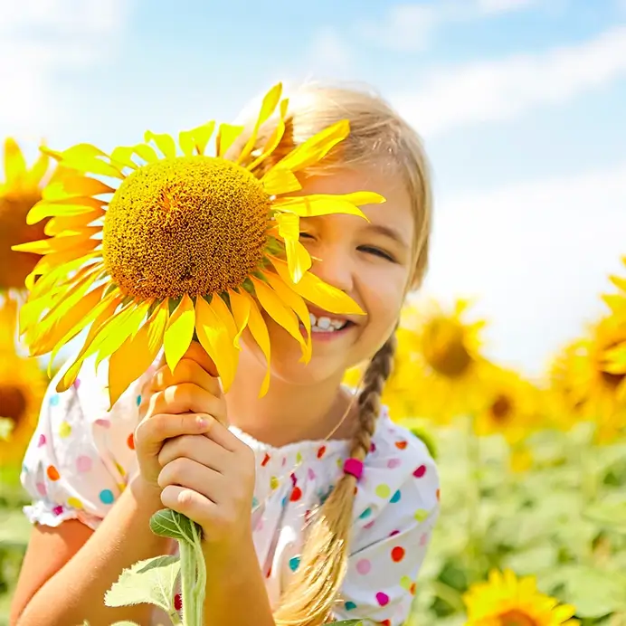 Kita-Projekte zum Thema Sonnenblume: Mädchen im Sonnenblumenfeld