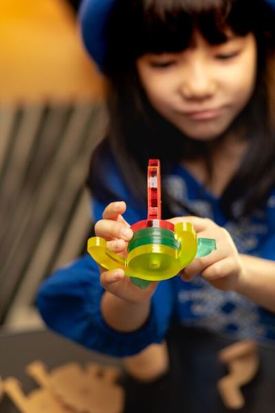 Magnetisches Konstruktionsspielzeug "Imaginary Fauna Box", 50-teilig (3-8 Jahre)