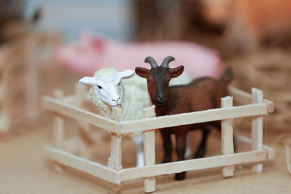 Schleich® Bauernhoftiere-Set, 9-teilig Schleich® Bauernhoftiere-Set, 9-teilig