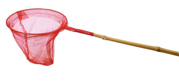 Net, Fliegenbremse, Netzfangsnetz, Keschernetz, Holzstiel