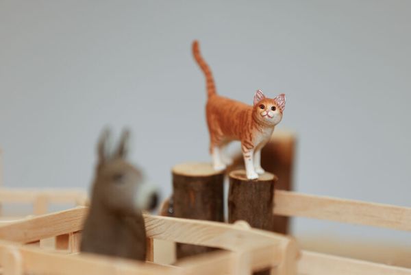 Schleich® Bauernhoftiere-Set, 9-teilig Schleich® Bauernhoftiere-Set, 9-teilig