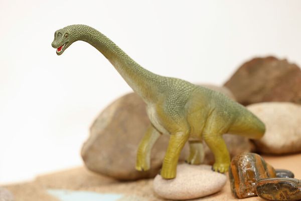 dinosaurier, figur, spielzeug, grün, langhalsig
