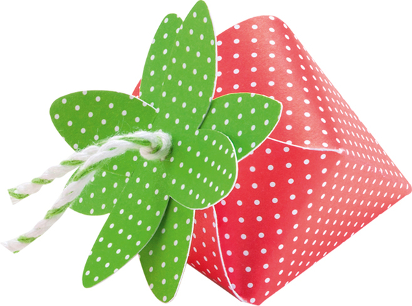 FOLIA Motivblock Basic intensiv, 24 x 34 cm, 20 Bogen